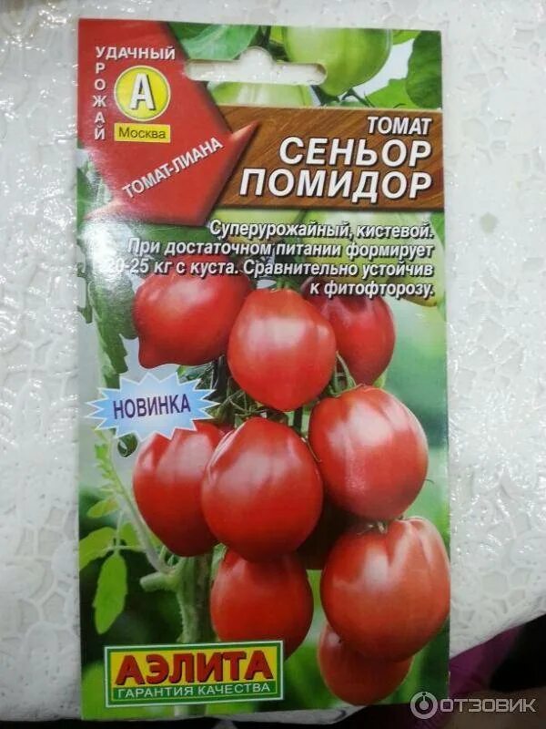 Томат сеньор помидор аэлита. Сеньор помидор томат. Томат сеньор помидор аэлита. Томат брикадель розовая. Синьор помидор чипполино.