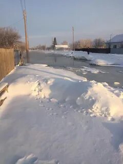 Погода омск заречное