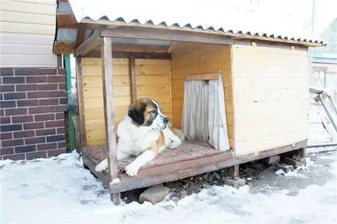 Будка для собаки на зиму