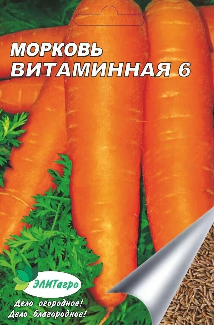 Морковь Витаминная 6: описание, фото, отзывы
