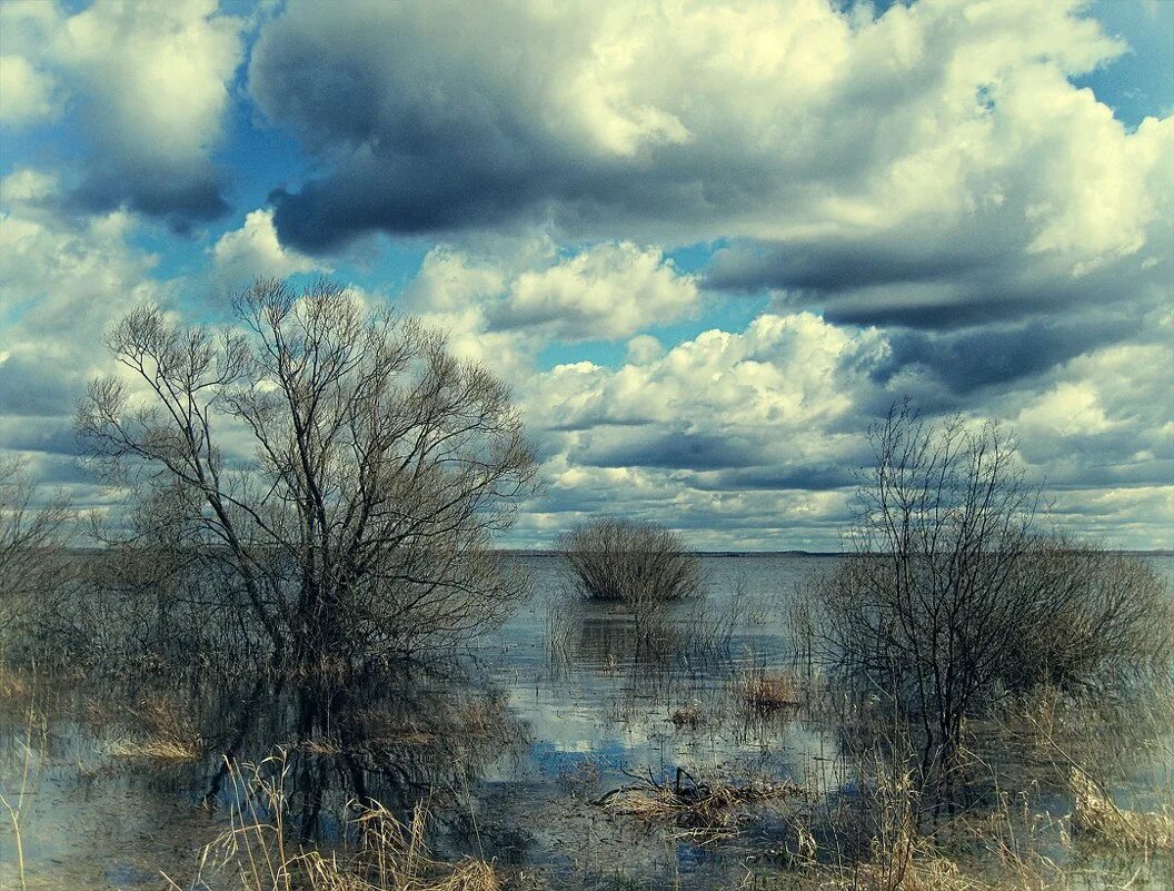 Осень дождь. Поле после дождя. Пасмурный день. Пасмурная осень. Пасмурный пейзаж.