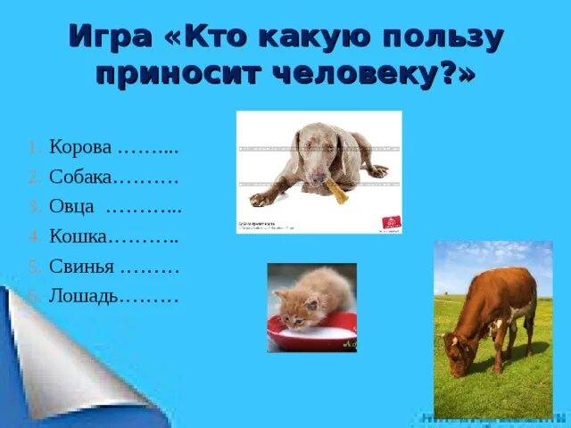 Какую пользу приносит лошадь. Какую пользу приносит лошадь человеку. какую пользу приносят собаки. какую приносит пользу человеку игра.