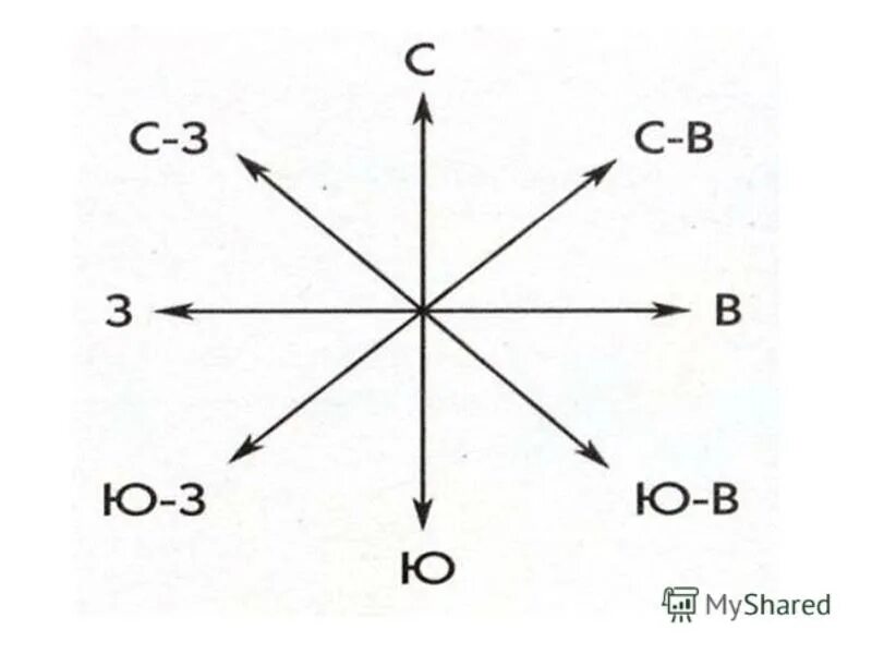 Покажи стрелкой где юг