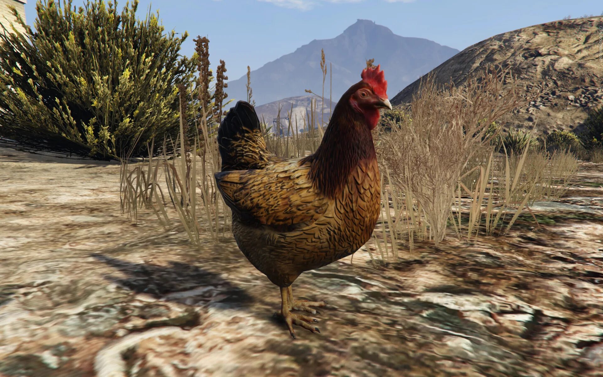 Кура 5 6. ГТА 5 Палето Бэй курица. Бегущая курица игра. GTA 5 статуя курицы. Курица на вершине горы в ГТА 5.