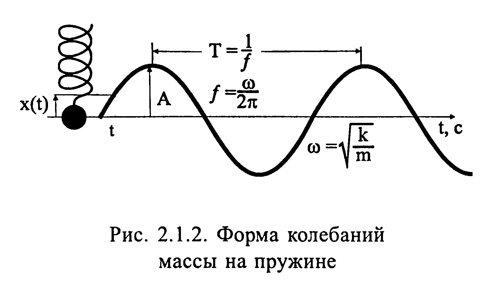 Рисунок свободного колебания. Гармонические колебания рисунок. Гармоничные колебания физика. Свободные колебания рисунок. Амплитуда гармонических колебаний.