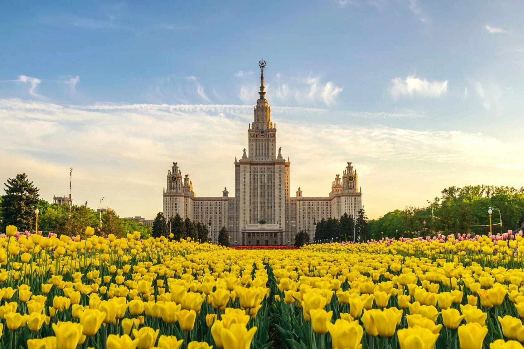 Мгу весной. Lomonosov Moscow State University. Площадь МГУ В Москве летом. МГУ И тюльпаны.