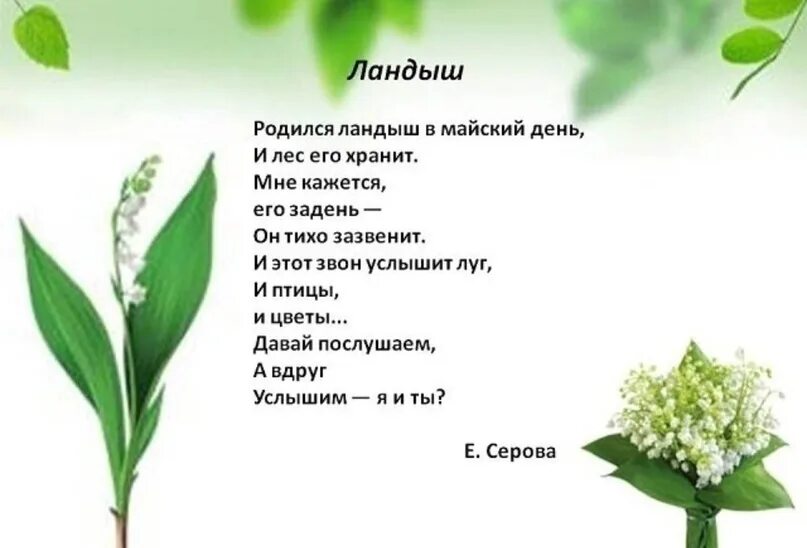 Ландыши камыши текст. Слова песни ландыши ландыши. Ландыши камыши текст. Ландыши камыши текст. Ландыши камыши текст.