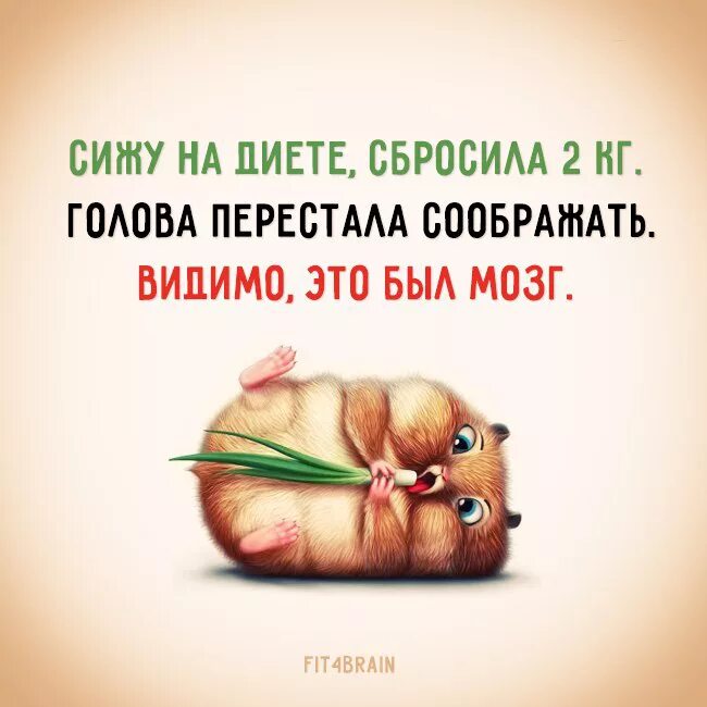 Что делать если мозг перестал соображать. Смешные фразы про мозг. фразы про мозги. фитнес для мозга. фитнес для мозга высказывания.