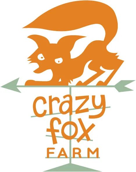 Сумасшедший лис. Фото crazy fox. Crazy fox logo. Картинки crazy fox. Crazy fox чат.