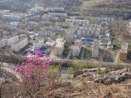 Часы дальнегорск