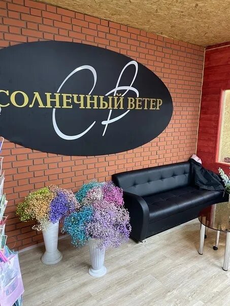 Солнечный ветер михалевича. Солнечный ветер михалевича