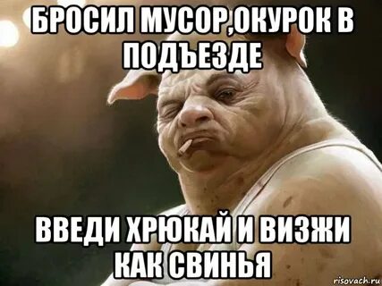 Хрюшка из помойного ведра