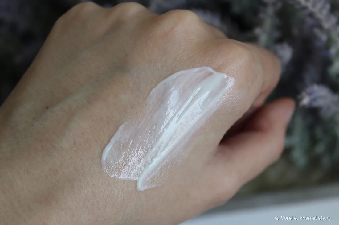 Round lab sunscreen. Round lab sunscreen