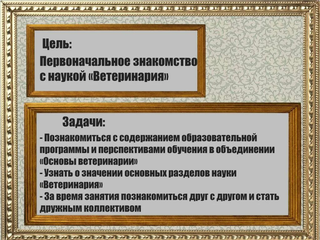 Цель ветеринара. Цели ветеринарии. Основные цели и задачи ветеринарии. Цель и задачи ветеринара. Цели и задачи ветеринарной службы.