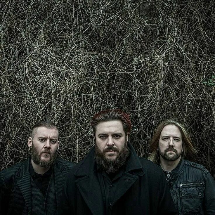 Seether remedy. Seether band. seether рок-группа. seether 2025. seether фото.