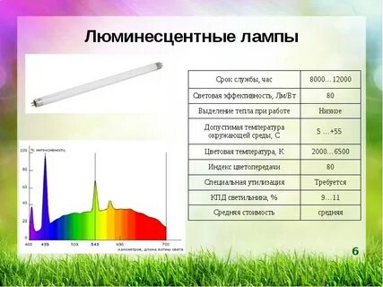 Световая эффективность