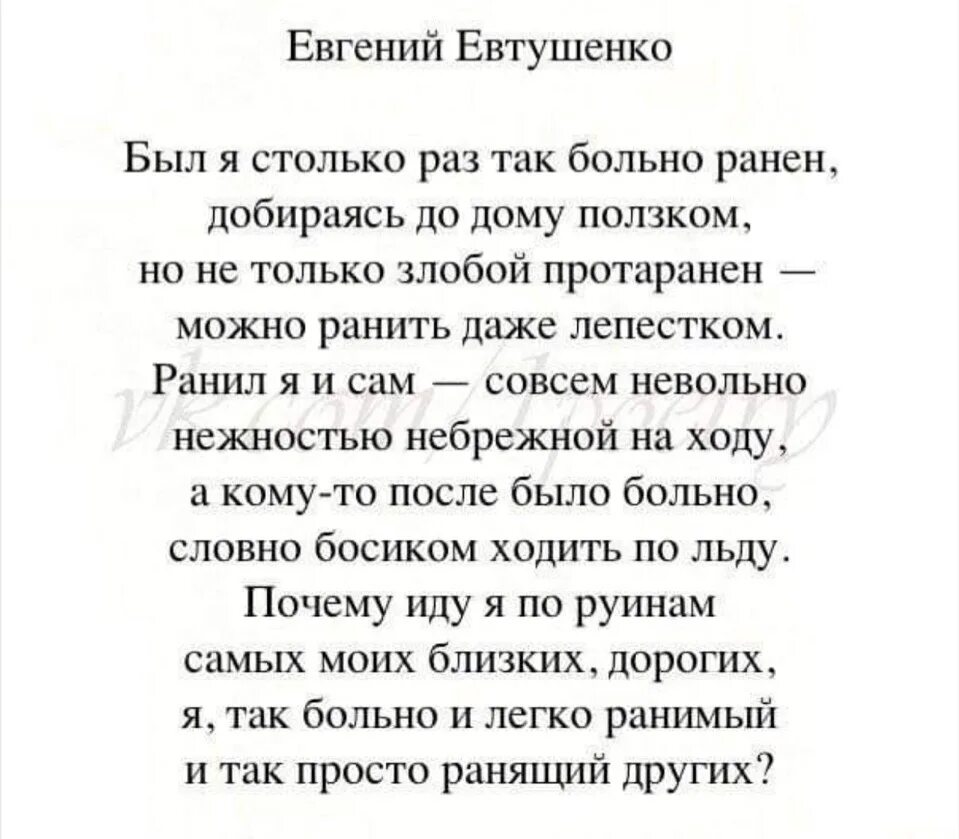 Стихи известных поэтов. Красивые стихи о жизни известных поэтов. Стихи великих поэтов о жизни. Стихи поэтов о жизни.