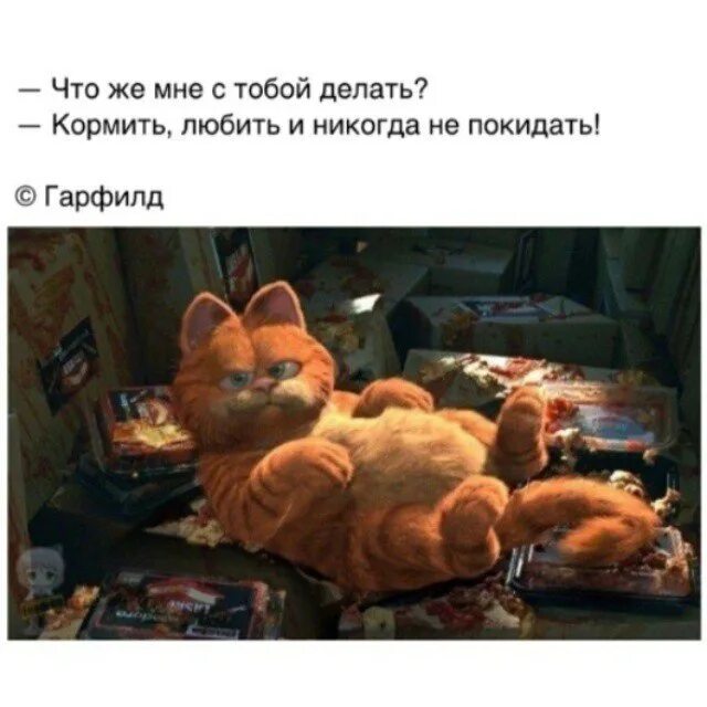 Гарфилд любить кормить