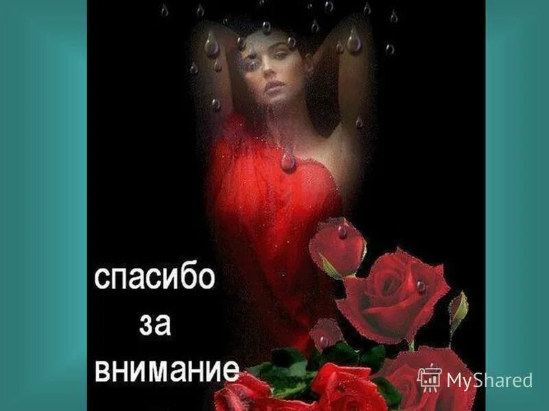 красивые женские губы. женские губы. цветок женские губы. алые розы клипы. мужчина дарит тебе цветы.