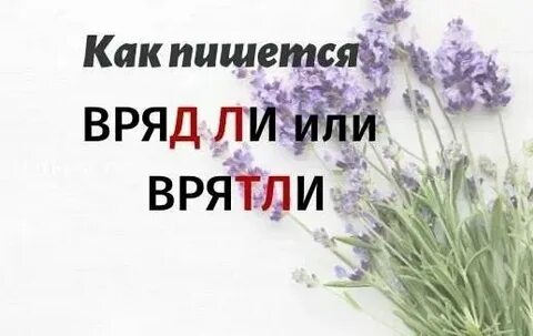 Как пишется вряд ли слитно или