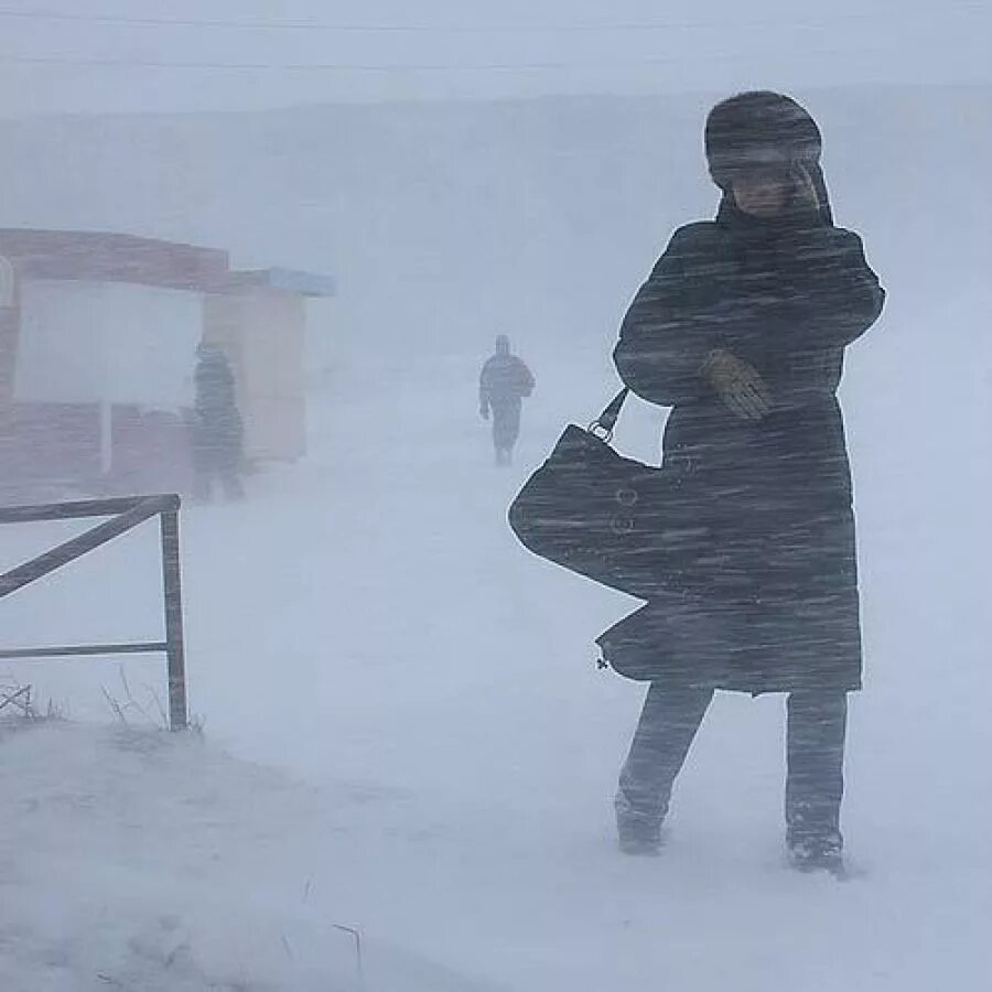 Человек Пурга. Сильная метель. Сильный ветер зимой. Холод ветер. Холод холод жар песня