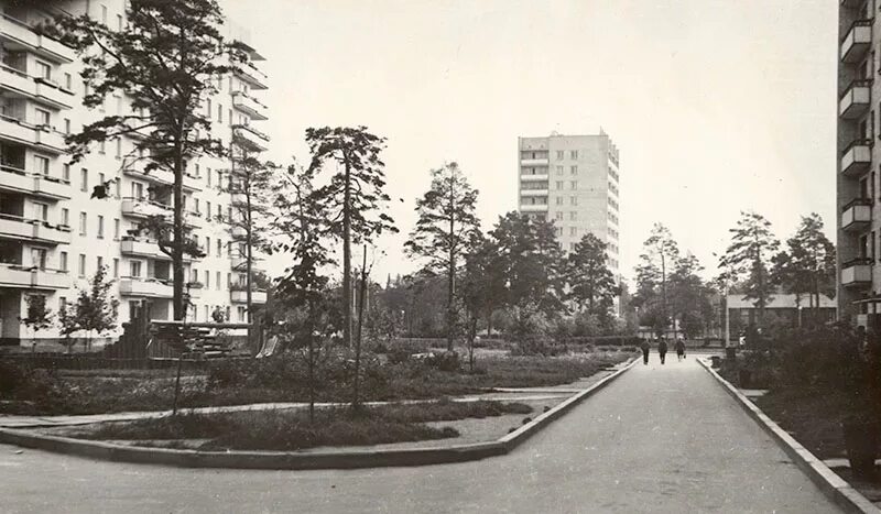 Граждане сосновый бор. Санкт-петербург район сосновый бор. Сосновый бор пенза. Граждане сосновый бор. Фото прокуроров города сосновый бор.