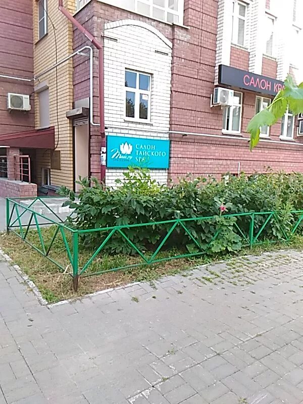 белинского 60а нижний новгород. саюс нижний новгород. белинского 60а нижний новгород. белинского 60а нижний новгород на карте. белинского 60а нижний новгород.