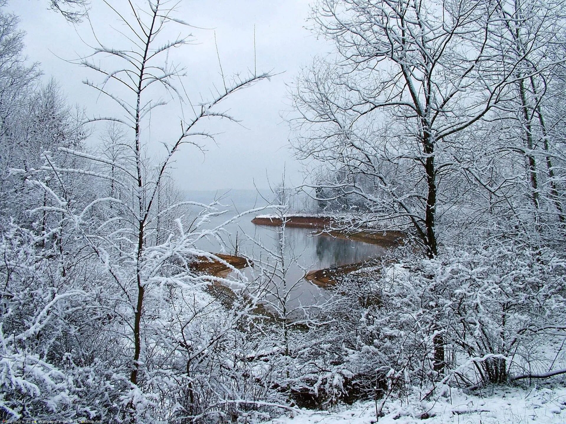 Самая поздняя зима. Поздняя зима. Поздняя осень. Ноябрь снег. Первый снег.