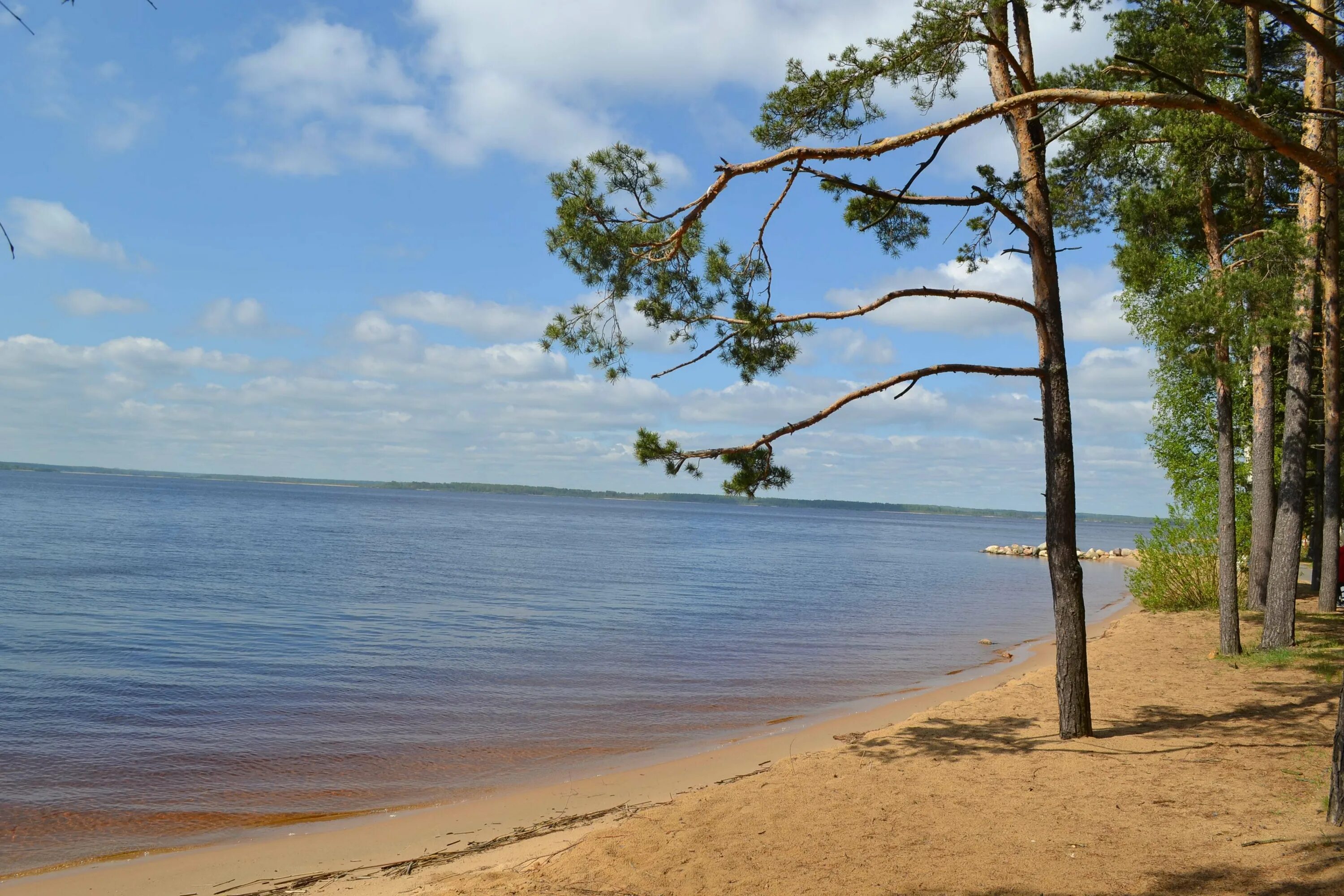 Места на рыбинском. Пляж Коприно Рыбинск. Рыбинское водохранилище пляж Коприно. Коприно пляж Рыбинск Ярославское Взморье. Ларионово Рыбинское водохранилище.