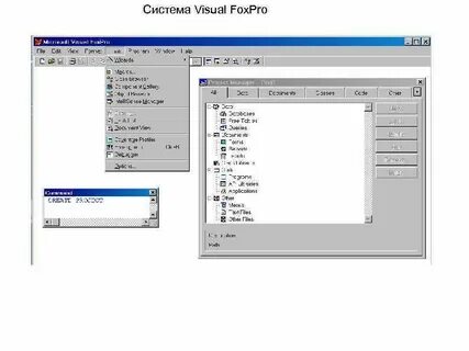 Visual foxpro