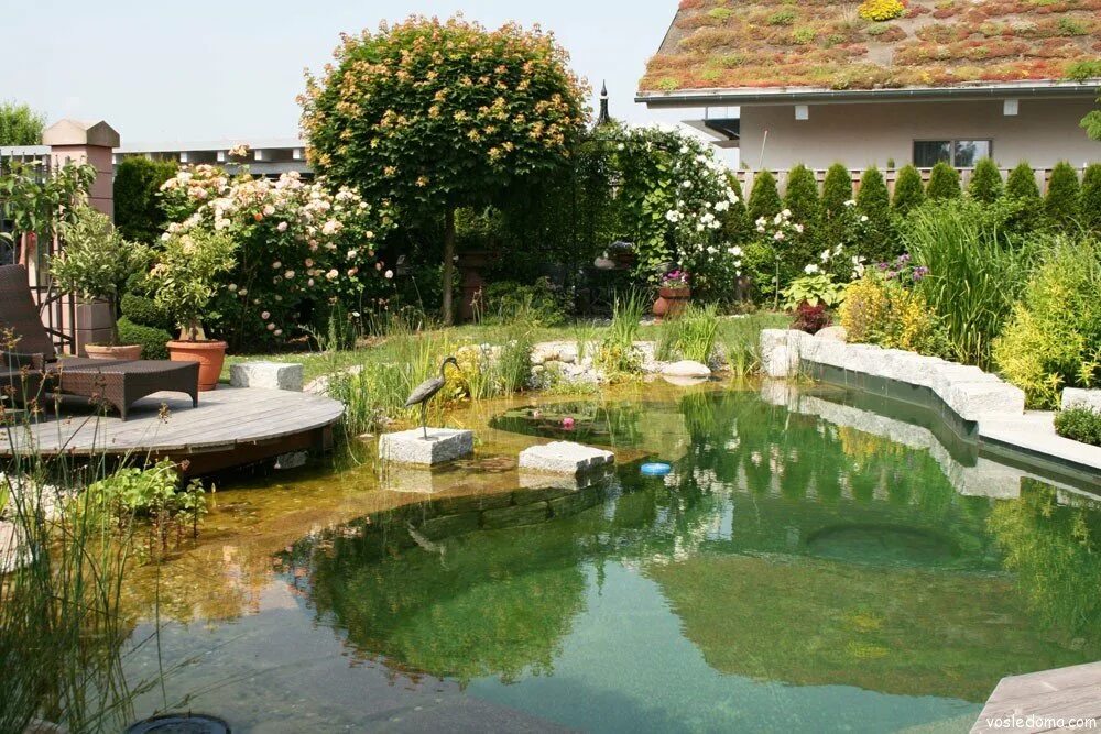 Терраса у пруда. Пруд перед домом. Пруд перед домом. Веранда у пруда. Маленький пруд на даче терраса.