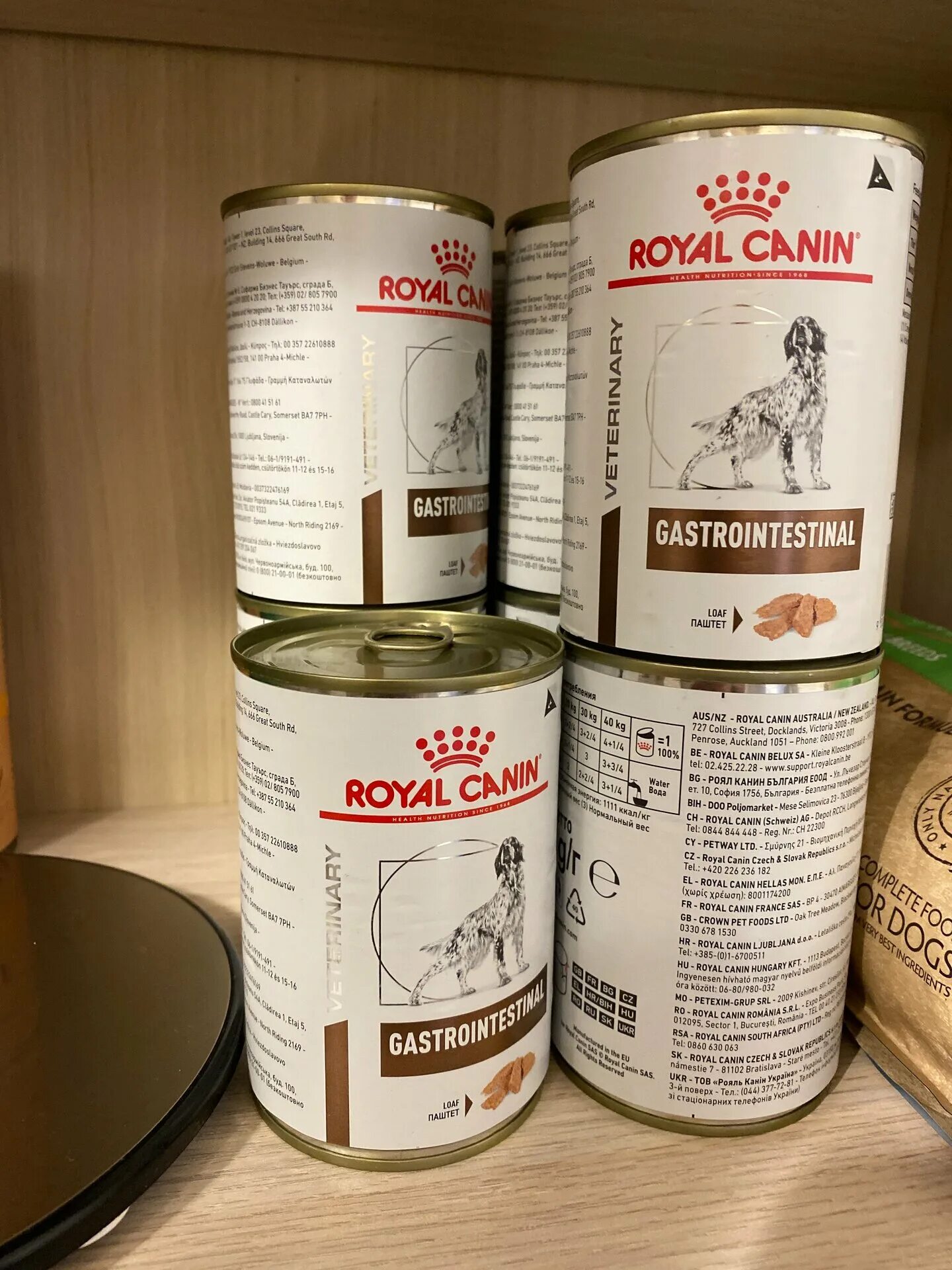 Влажный корм для собак роял. Влажный корм для собак Royal Canin Gastro intestinal, при болезнях ЖКТ. Роял Канин гастро для собак. Корм для пожилых собак Royal Canin 12шт. Х 195г. Роял Канин Gastrointestinal лафет влажный корм для собак.