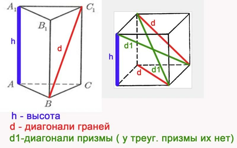 Сколько диагоналей у призмы