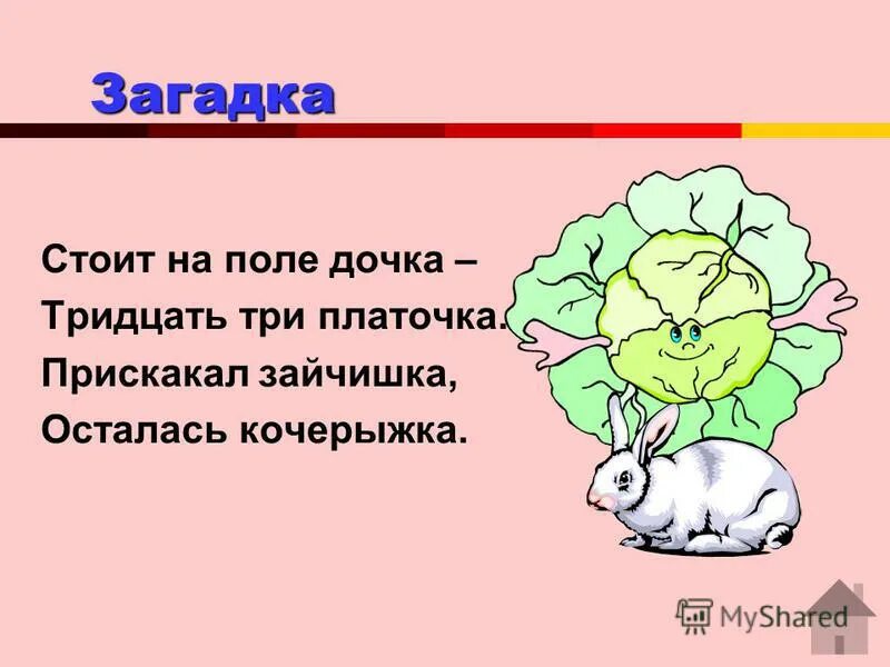 Русские народные загадки о поле. Клейкие почки зеленые листочки с белой корой. Загадка стоит в поле. Загадка стоят в поле сестрички желтый глазок белые реснички. Отгадка к загадке стоят в поле сестрички желтый глазок белые реснички.