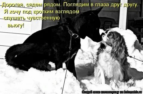 Сядем рядом сядем вместе
