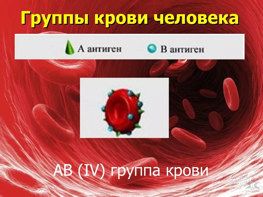 Группа крови. Группы крови человека. Кровь группы крови. Первая группа крови.