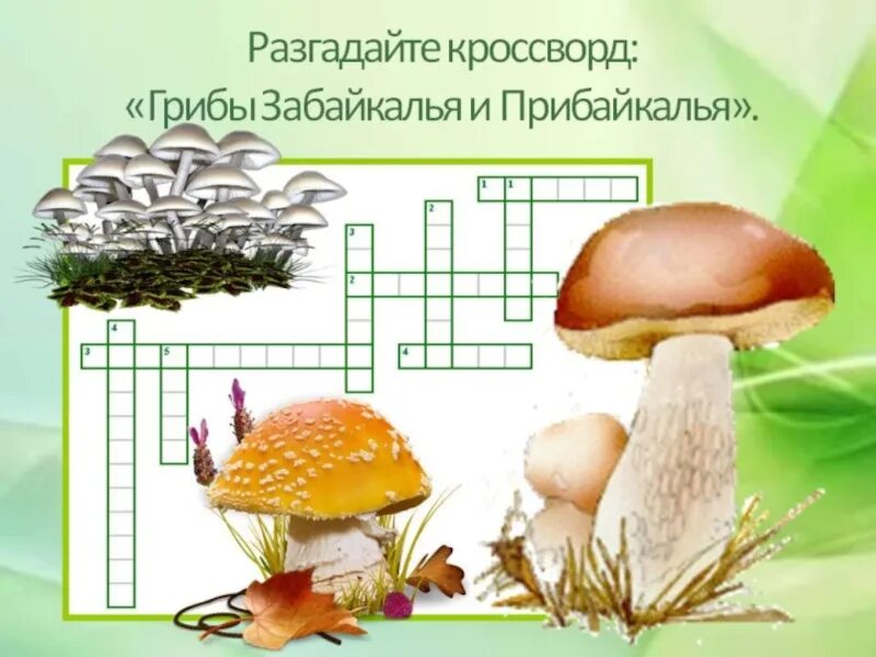 Проект грибы 5 класс по биологии Выполнила: учитель МОУ Кунашакской средней школы Носаченко Ольга Борисовна ска