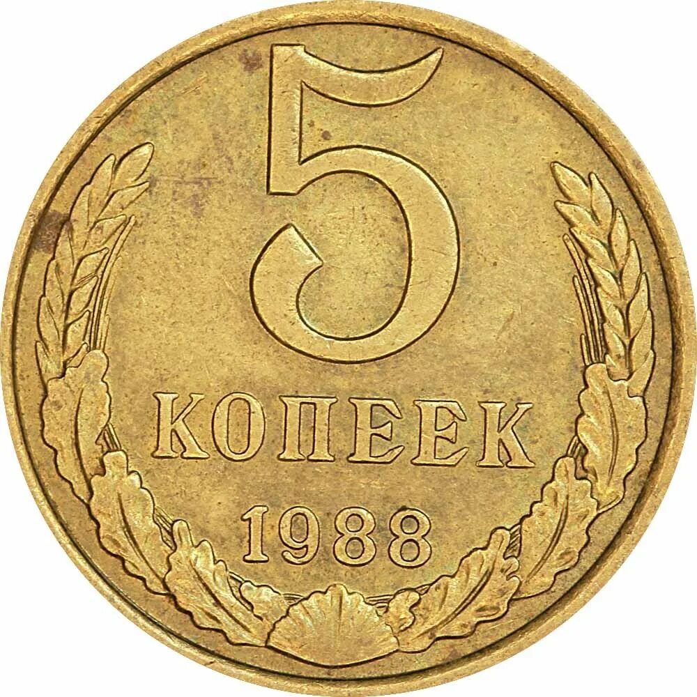 5 Копеек 1986 СССР. 5 Копеек СССР 1988. Монета СССР 5 копеек 1988. 5 Копеек СССР 1980. Цена монет ссср 5 рублей