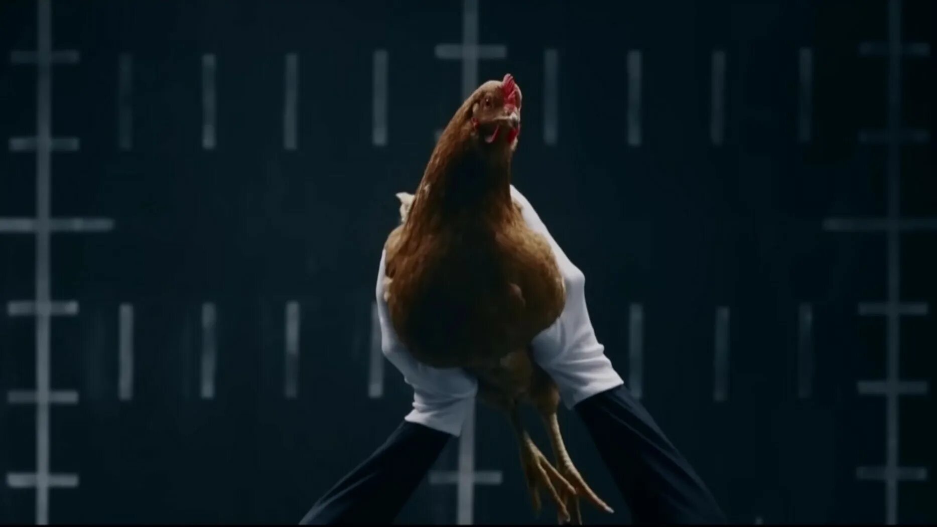 Реклама курицы. Реклама курочки.