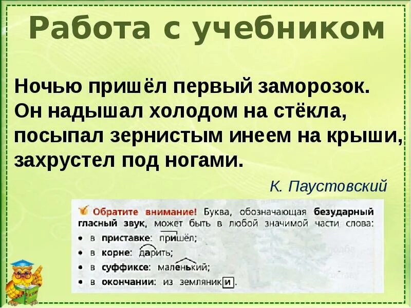 Правописание значимых частей слова 3 класс. Орфограмма в значимой части слова. Правописание орфограмм в значимых частях слова.. В каких значимых частях слова есть орфограммы. Орфограммы в значимых частях слова 3 класс школа России презентация.