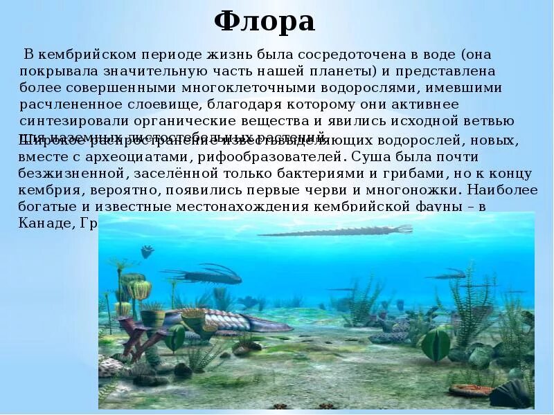 Жизнь сосредоточена. Палеозойская эра кембрийский период климат. Жизнь сосредоточена главным образом на. Жизнь сосредоточена в. Равномерно ли распределены организмы в биосфере.