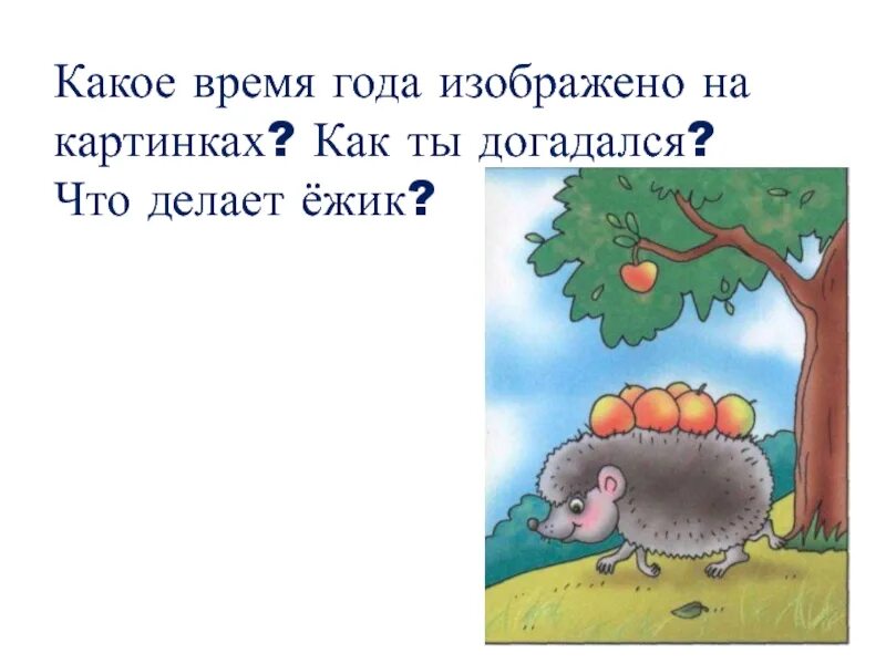 Сочинение ежик. Сочинение про ежика. рассказ запасливый ежик. сочинение про ежика 5 класс. сочинение про ежика 2 класс.