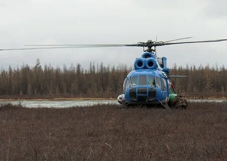 Вертолет ми 6 в болоте