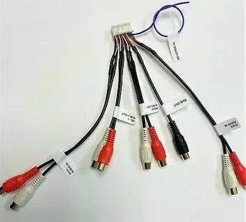 20 pin rca