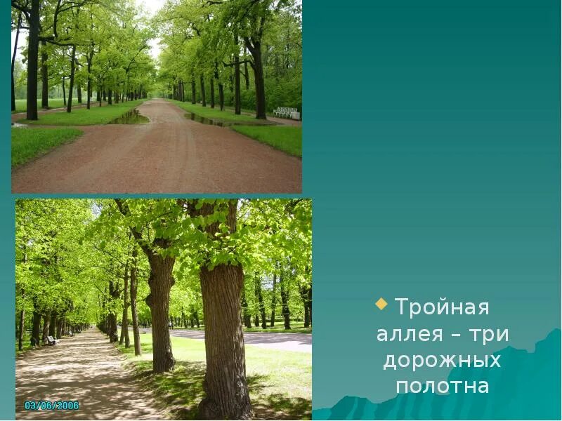 Аллея анны керн в михайловском. Текст описание аллеи парка. Соченению потеме летни сад. Название аллеи. Аллея героев в парке победы в г белгороде.
