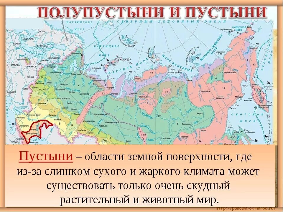 Широко распространенная на территории россии. Пустыни и полупустыни России географическое положение на карте. Зона пустынь и полупустынь в России на карте. Зона пустынь на карте России. Природные зоны России пустыни и полупустыни карта.