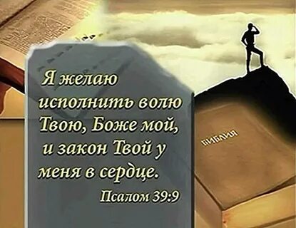 Была бы моя воля