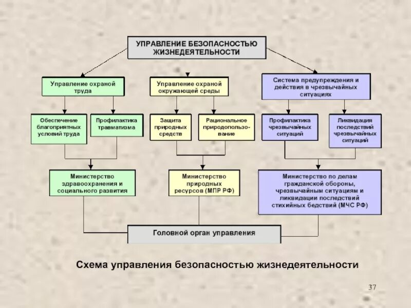 Центральное управление безопасностью. Схема управления БЖД. Безопасность жизнедеятельности схема. Управление безопасностью жизнедеятельности. Структура управления безопасностью жизнедеятельности.