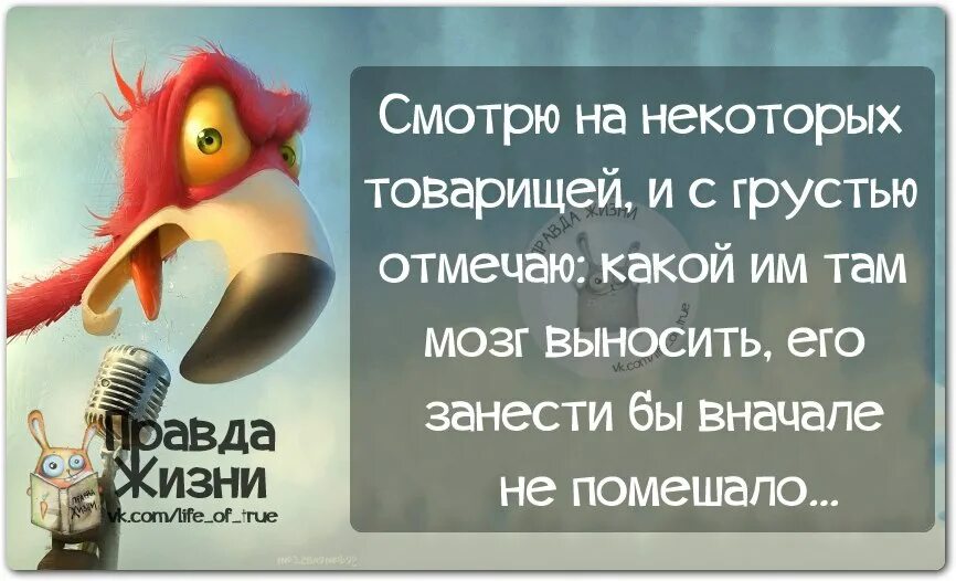 И мозги не выноси. Цитаты про мозги. Афоризмы про мозг. Фразы про мозги. Цитаты про мозги смешные.