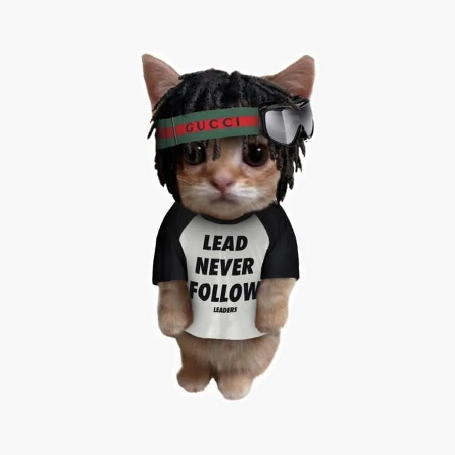 Now only cats will follow me. Футболка lead never follow. chief keef lead never follow. lead never follow leaders. чиф киф lead never follow.